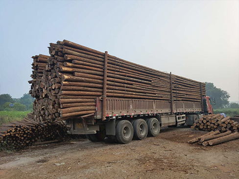 原木樁在寒冷地區(qū)使用的適應(yīng)性及保護(hù)措施？