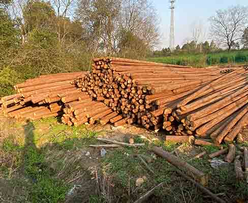 觀景木樁能否用來構建臨時道路或橋梁？